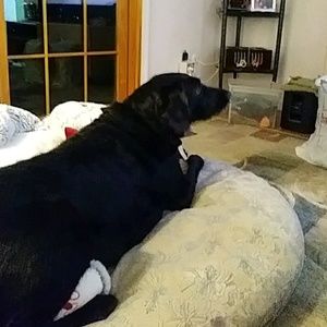 Meet your Posher, Sandy